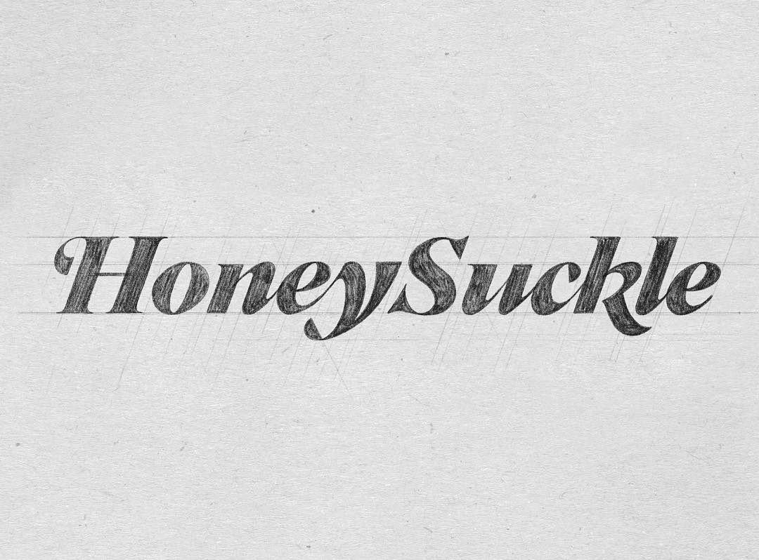 Final pencil sketch of the Honey Suckle masthead before vector refinement